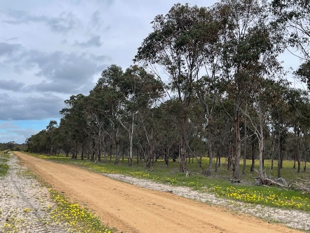 Click to view all images Martup Downs, Leggoe Road Beaufort River WA 6394 - Image 1
