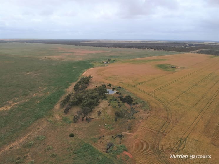 Click to view all images 101 West Binnu Road West Binnu WA 6532 - Image 2