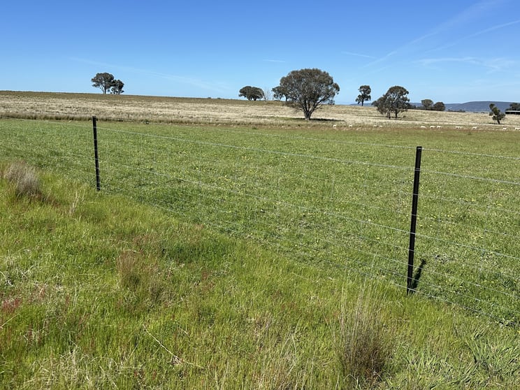 Click to view all images 424 Trebane Road Crowther NSW 2803 - Image 2