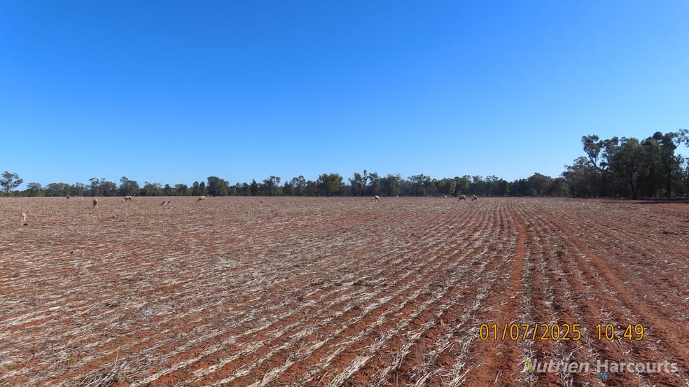Click to view all images * KALLARA, 881 Kallara Road Hermidale NSW 2831 - Image 1