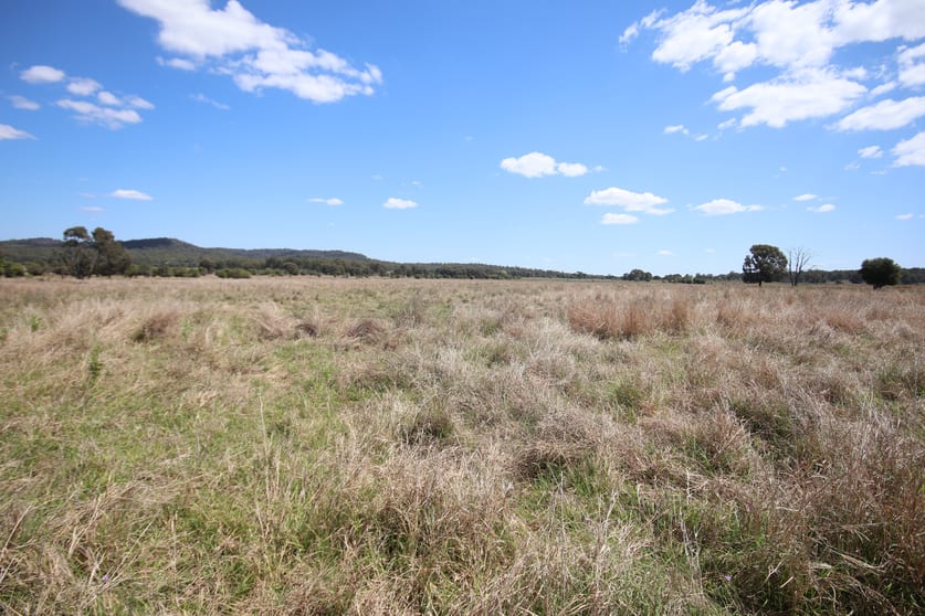 Click to view all images 206 Prices Road, Kapaldo Monto QLD 4630 - Image 3