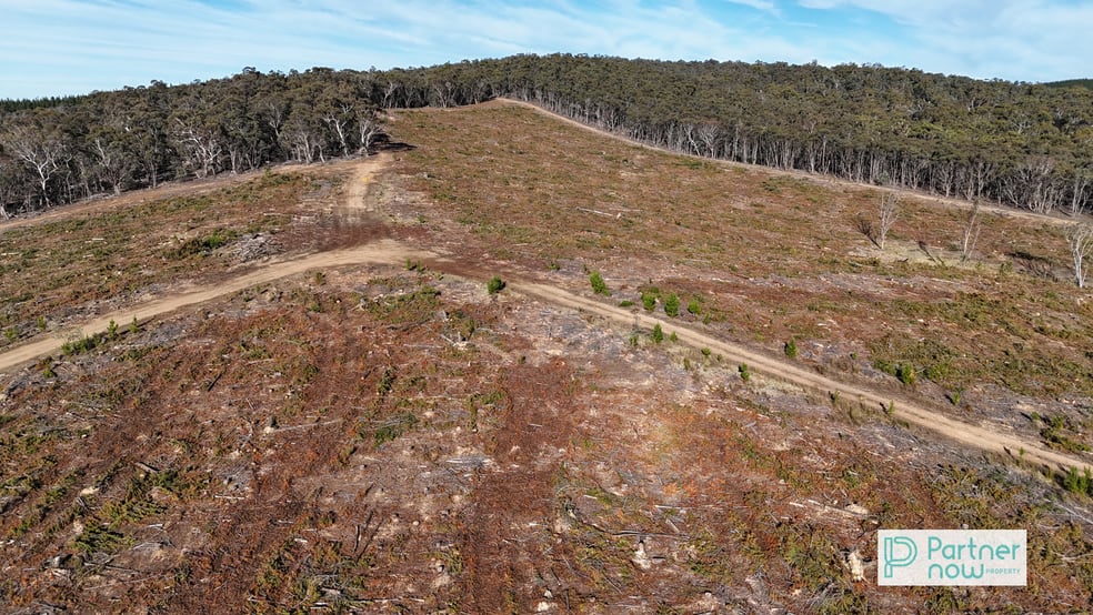 Click to view all images Camerons Hill Delegate Road Delegate NSW 2633 - Image 3