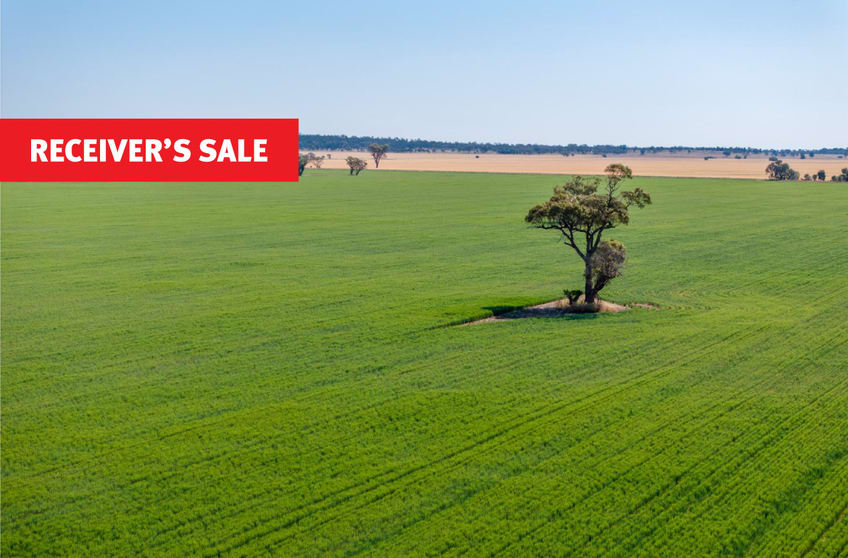 Click to view all images 1040 Merribee Road Binya NSW 2665 - Image 1