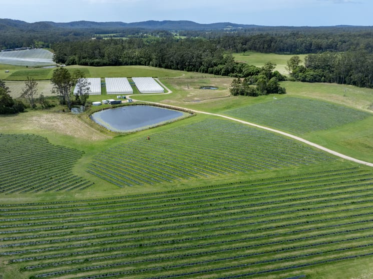 40B Hallgaths Road Coffs Harbour NSW 2450 - Image 1
