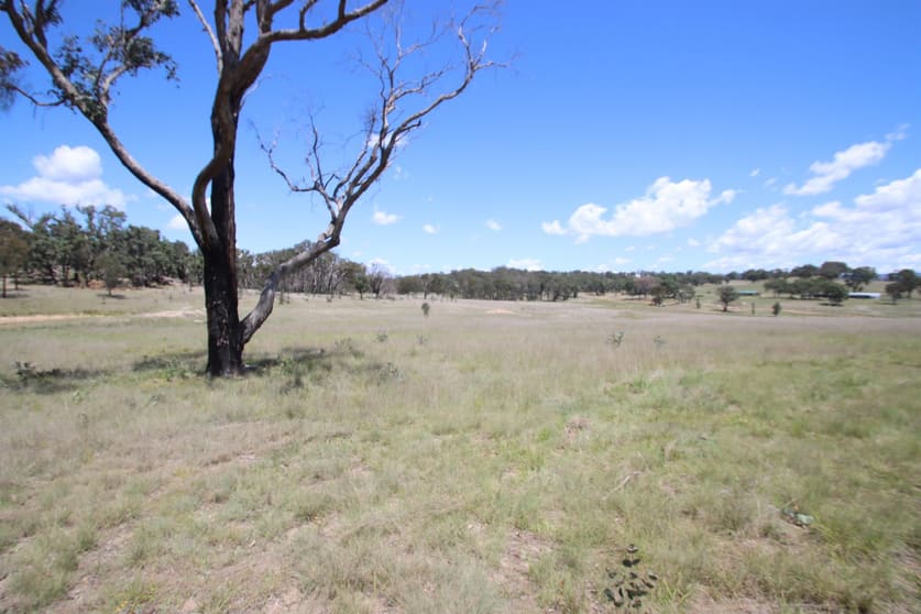 Click to view all images 187 Roos Road Tenterfield NSW 2372 - Image 1