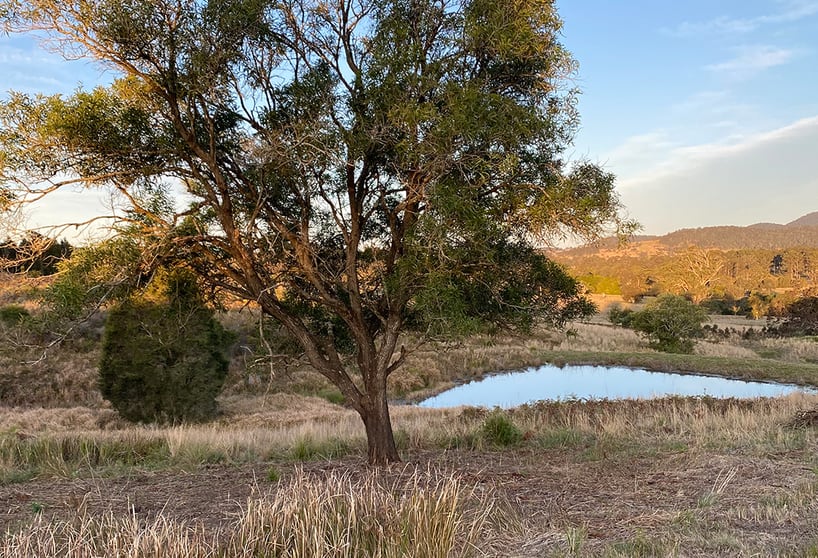 Click to view all images 212A Norries Road Bunyah NSW 2429 - Image 2