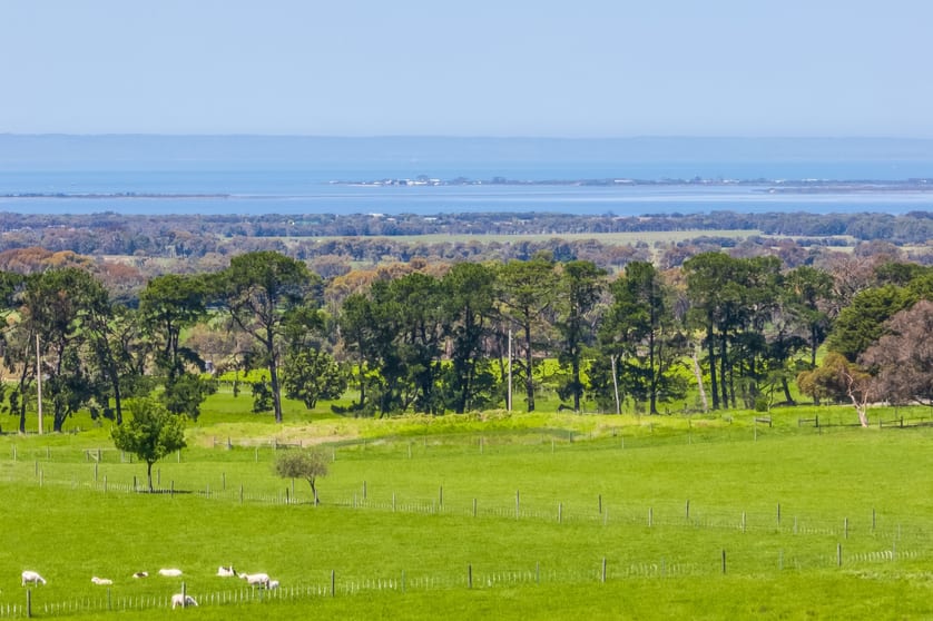 Click to view all images 2-38 Soho Road Drysdale VIC 3222 - Image 3
