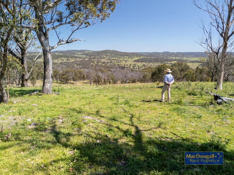 Click to view all images 2929 Rockvale Road Armidale NSW 2350 - Image 1