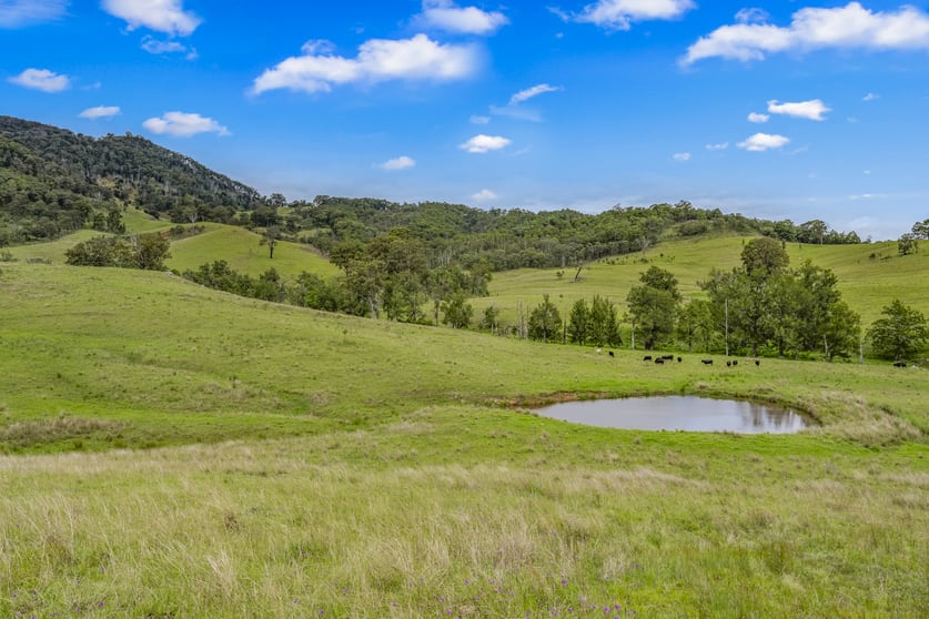 Click to view all images Carrowbrook Road Mount Olive Singleton NSW 2330 - Image 1