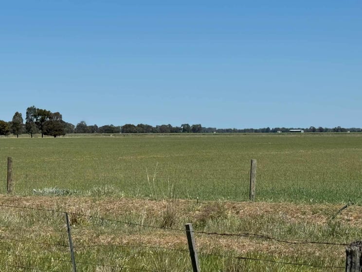 Click to view all images 901 - 903 Johnson Road Kotta VIC 3565 - Image 2