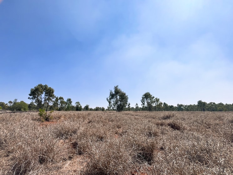 Click to view all images Cunnyanna Road Dunkeld QLD 4465 - Image 2