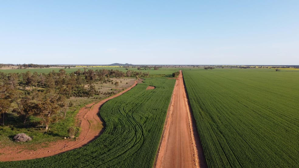 Click to view all images Wirrinya NSW 2871 - Image 3