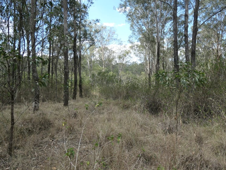 Click to view all images Tarome QLD 4309 - Image 2