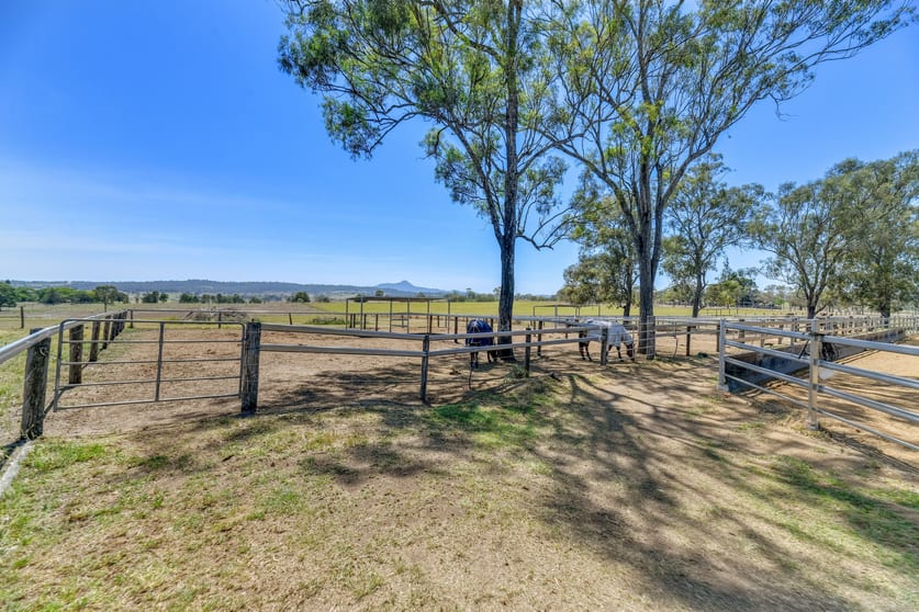 Click to view all images 1146 Munbilla Road Milora QLD 4309 - Image 3
