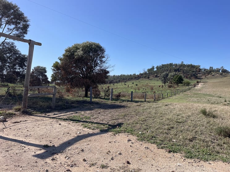 Click to view all images 3988 FLAGSTAFF ROAD Taroom QLD 4420 - Image 2