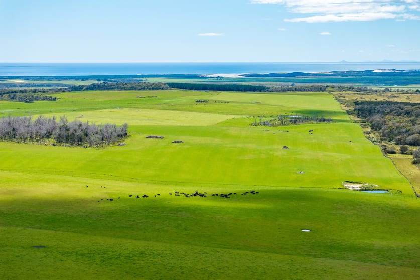 Click to view all images . Waterhouse Road Boobyalla TAS 7264 - Image 1