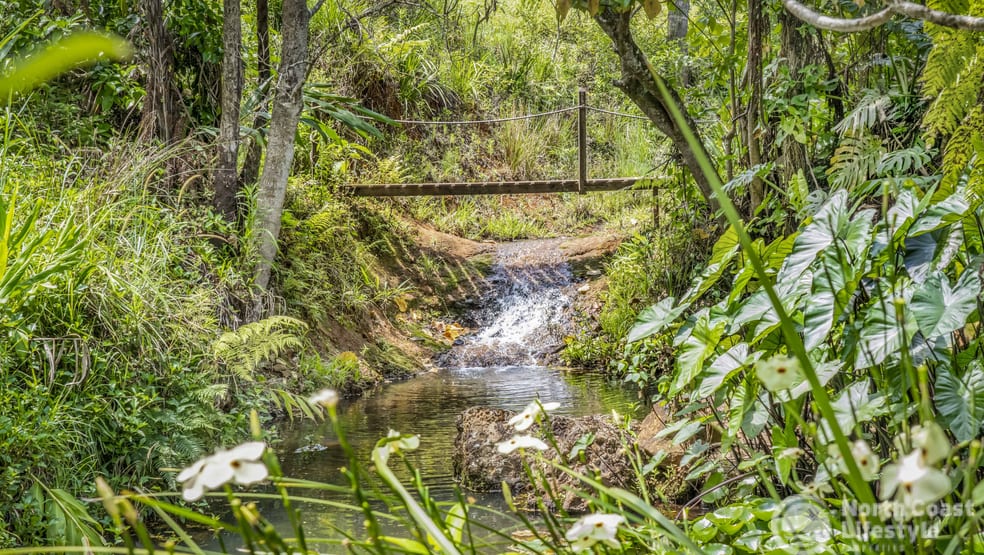 45 Geles Road Upper Burringbar NSW 2483 - Image 2