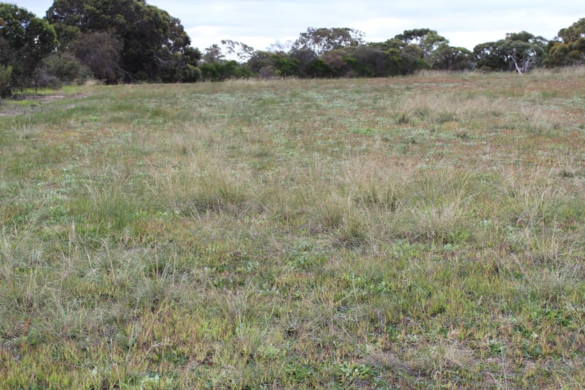Click to view all images 61 Blue Vista Hopetoun WA 6348 - Image 3