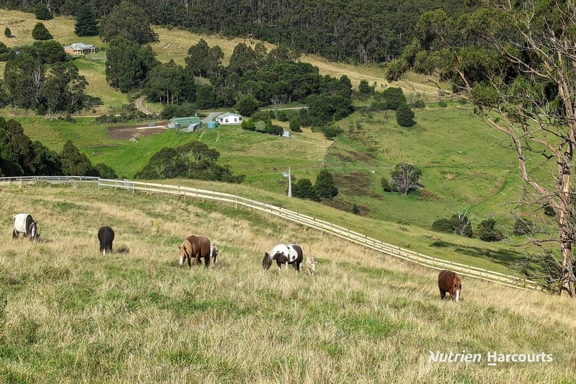 Click to view all images 482 Old Whitelaws Track Devon North VIC 3971 - Image 1