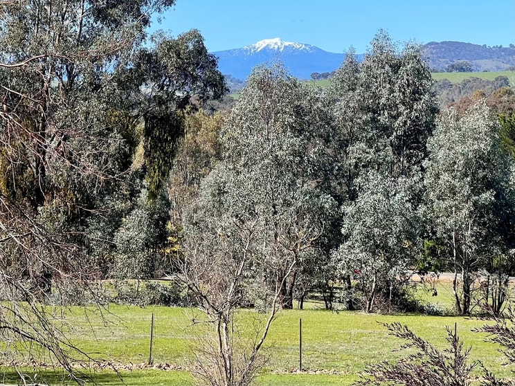 Click to view all images 110 Ford Drive Mansfield VIC 3722 - Image 2