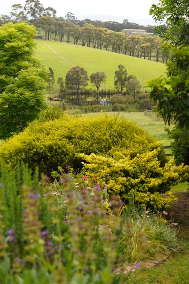 Click to view all images 45 Connors Lane Seville VIC 3139 - Image 3