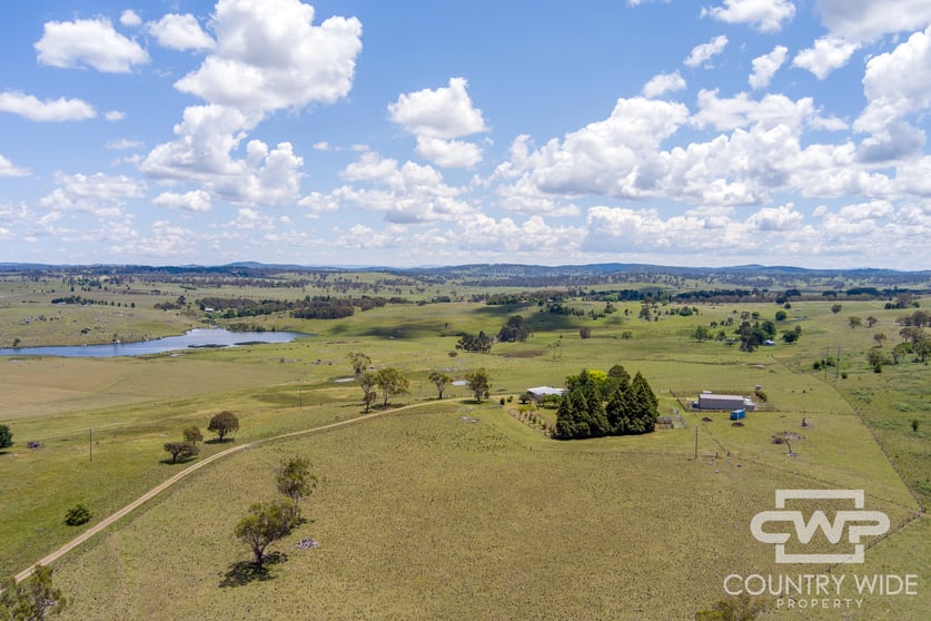 Click to view all images 387 Shannon Vale Road Shannon Vale NSW 2370 - Image 1