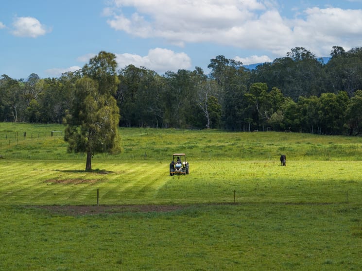 Click to view all images 639E coolangatta road Berry NSW 2535 - Image 2