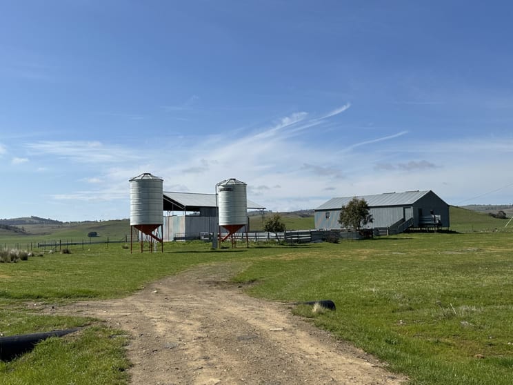 Click to view all images 1126 Nala Road York Plains TAS 7120 - Image 1