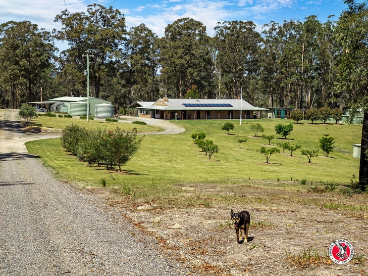 Click to view all images 104 Goldfields Drive Jeremadra NSW 2536 - Image 3