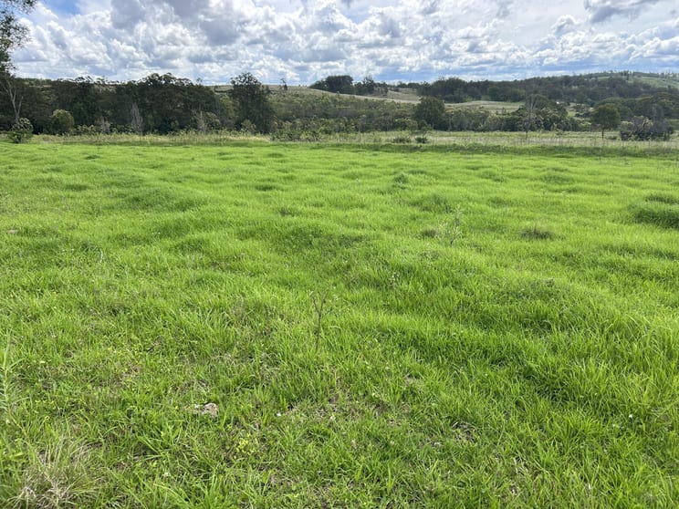 Click to view all images Pechey QLD 4352 - Image 1