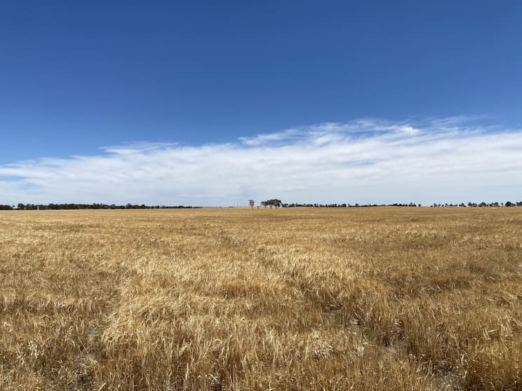Click to view all images Banyena VIC 3388 - Image 1