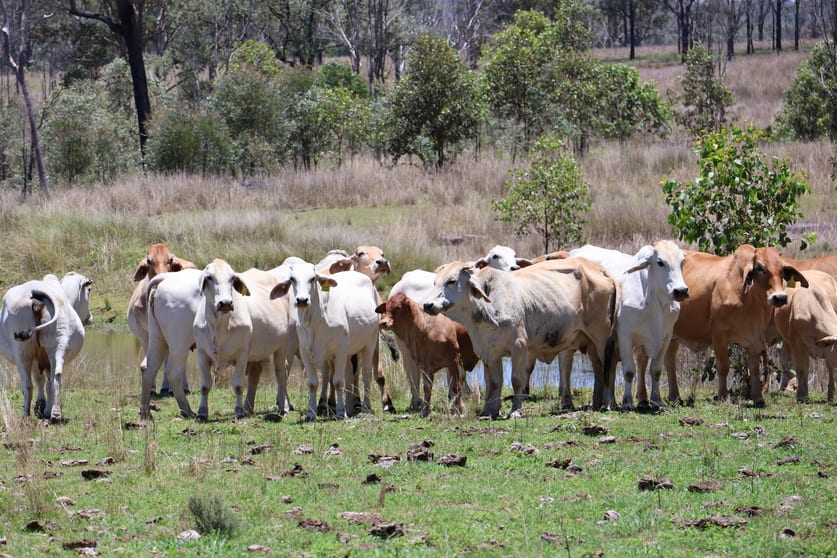 Click to view all images Lot 33, 34 & 35 Bilboolan Road, Mungy Mount Perry QLD 4671 - Image 1