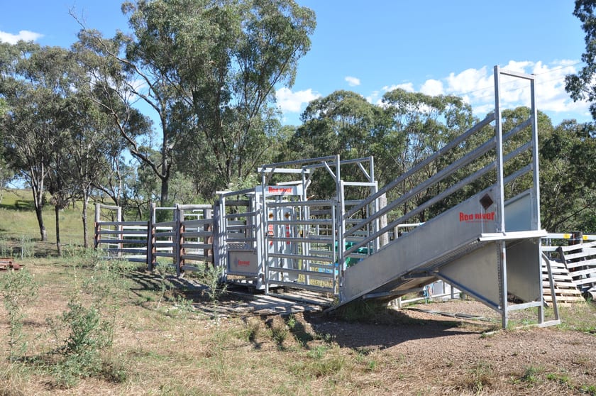 Click to view all images 'Top Nioka' 385 Gibbergunyah Rd Scone NSW 2337 - Image 3
