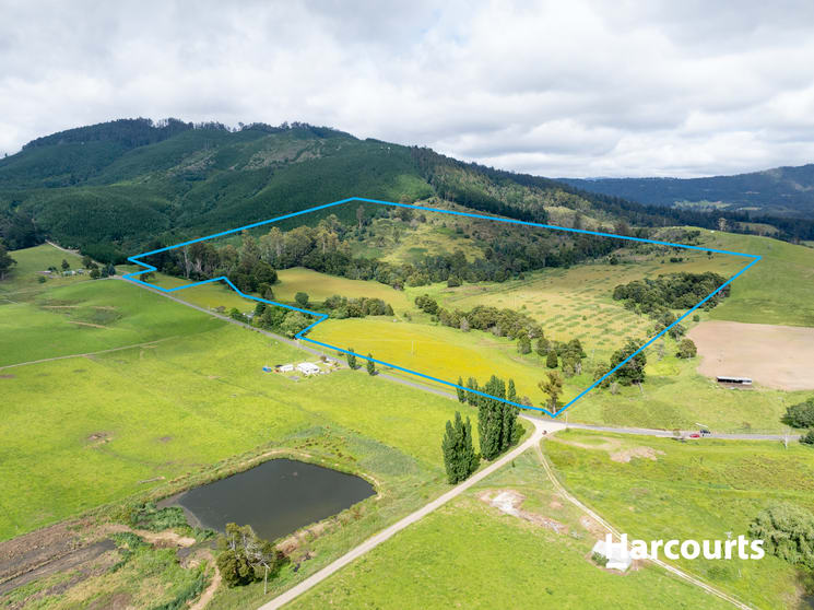 Lot 1 South Springfield Road Springfield TAS 7260 - Image 2
