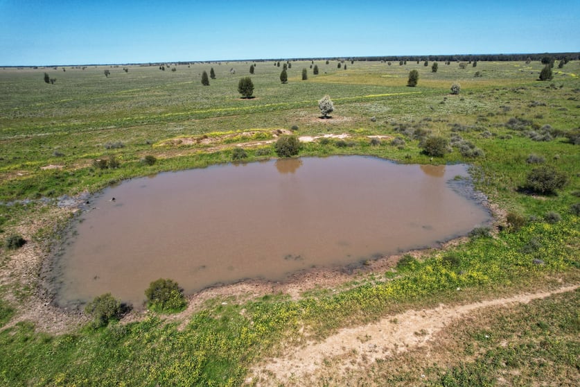 Click to view all images 5778 Dandaloo Road Dandaloo NSW 2823 - Image 2