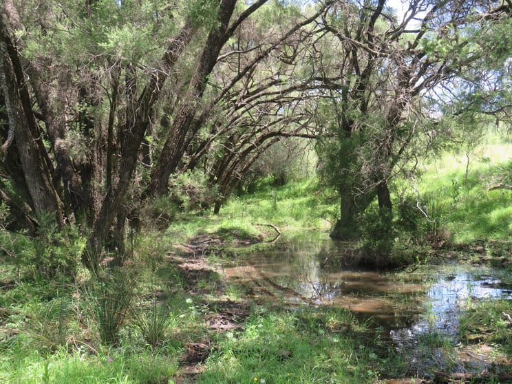 Click to view all images "Burnima" 121 Sheep Station Creek Rd Bingara NSW 2404 - Image 2