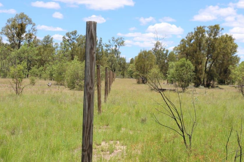 Click to view all images Tara QLD 4421 - Image 3