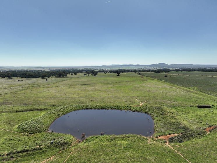 Click to view all images 8722 Black Stump Way Tambar Springs NSW 2381 - Image 2