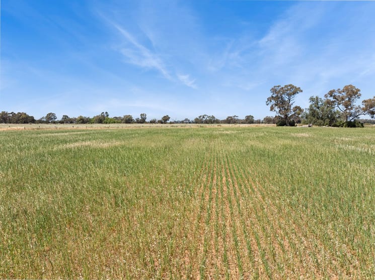 Click to view all images Pannoo Road & Johnson Road Lockington VIC 3563 - Image 2