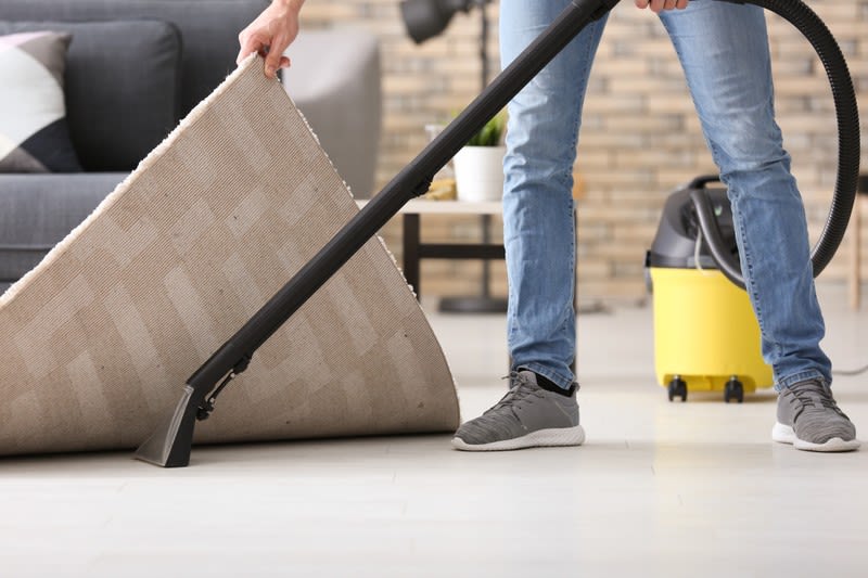 Cleaning Services  business for sale in Buderim - Image 2