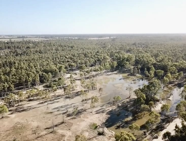 Click to view all images Lot 53 Old Deniliquin Road Moama NSW 2731 - Image 3