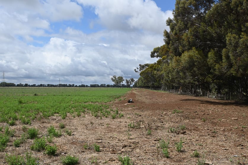 Click to view all images 437 Pyramid - Yarraberb Road Calivil VIC 3573 - Image 3
