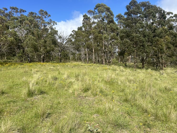 Click to view all images Lot 46 Nullo Mountain Road, via Rylstone/Kandos Rylstone NSW 2849 - Image 3