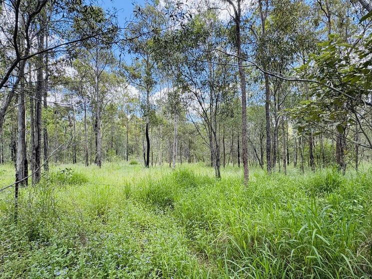 Click to view all images Lot 179 Doongul Stock Route North Aramara QLD 4620 - Image 3