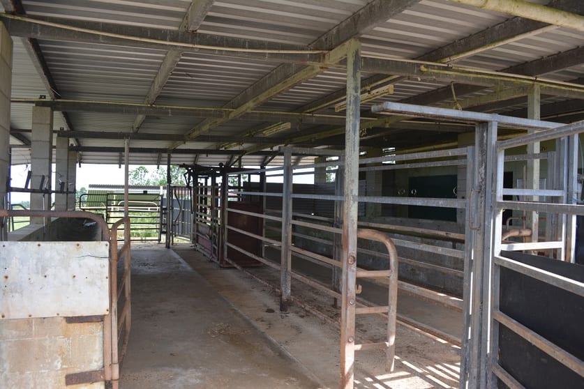 Click to view all images 659 Middlebrook Road Millaa Millaa QLD 4886 - Image 2