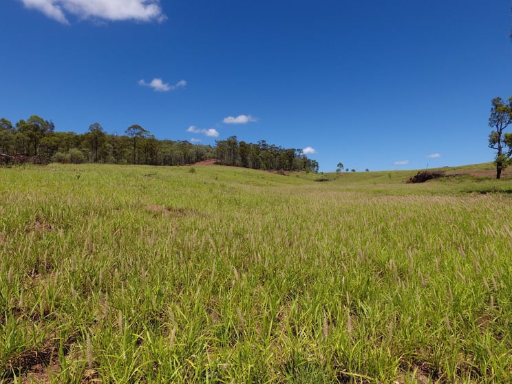 Click to view all images 572 Rubyvale Road Clermont QLD 4721 - Image 3