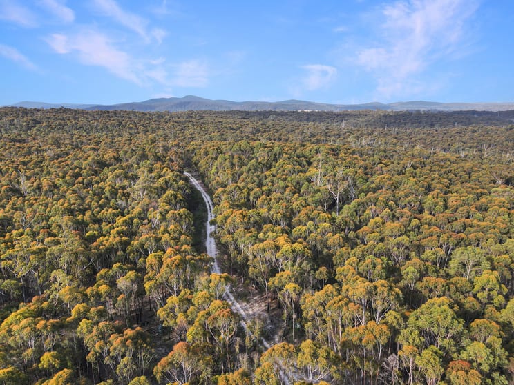 Click to view all images 25851 Tasman Highway St Helens TAS 7216 - Image 2