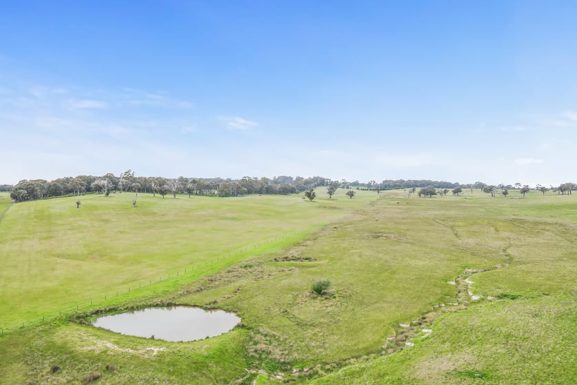 Click to view all images 974 - 976 Neville Trunkey Road Neville NSW 2799 - Image 3