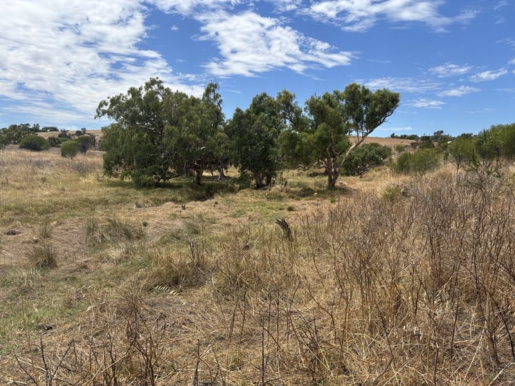 Lot 101 Drage Street Sandy Gully WA 6535 - Image 1