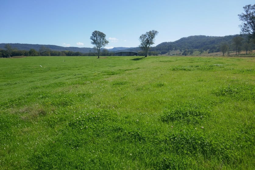Click to view all images 1100 Iron Pot Creek & Ghinni Ghi Roads Kyogle NSW 2474 - Image 3